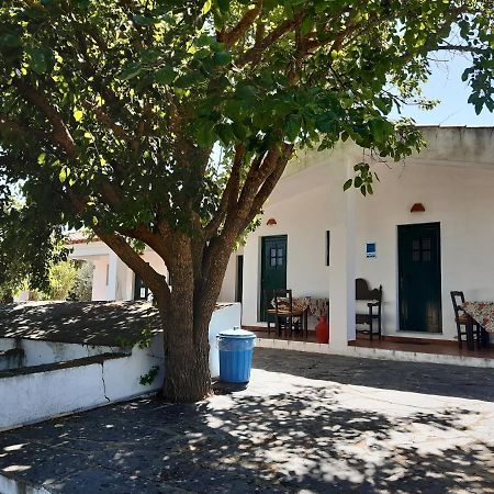 Horta Do Muro Campo Maior Ngoại thất bức ảnh
