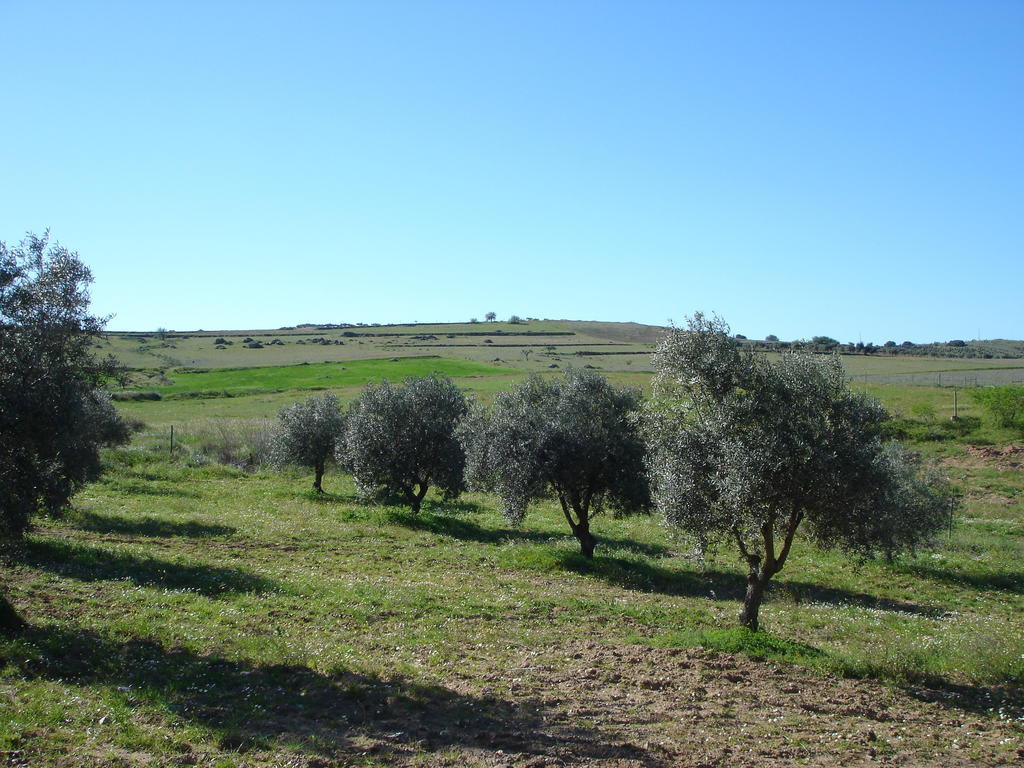Horta Do Muro Campo Maior Ngoại thất bức ảnh